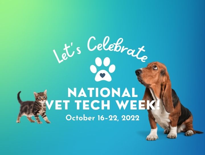 National Veterinary Technician Week