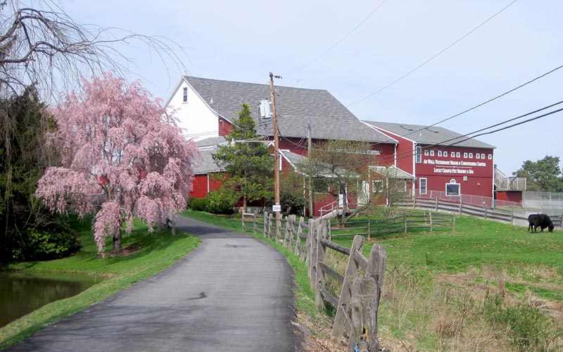 veterinary clinic in Quakertown