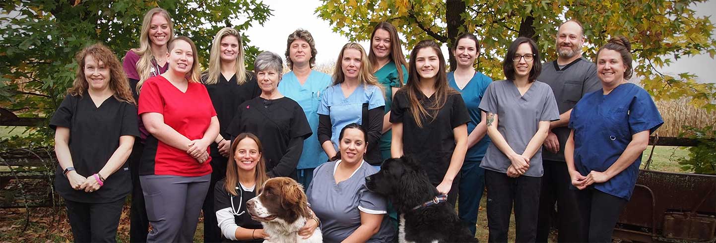 Valley view hot sale pet clinic