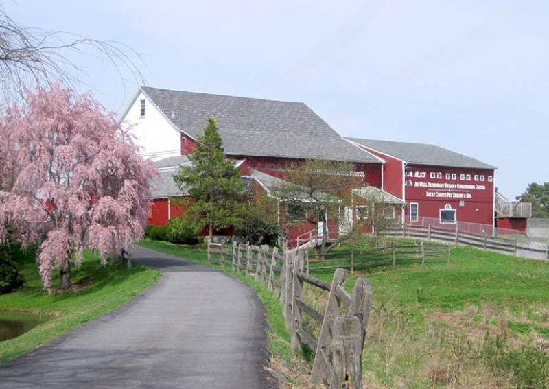 Carousel Slide 2: Visit our Boarding Facility