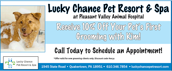 10% off Grooming