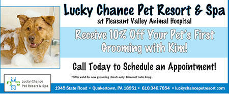 Special offer for grooming services